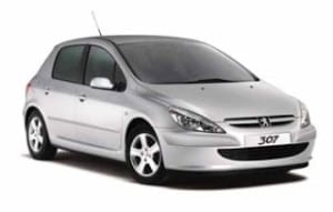 Peugeot 307 ntg