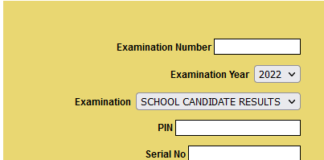 Check WAEC Result