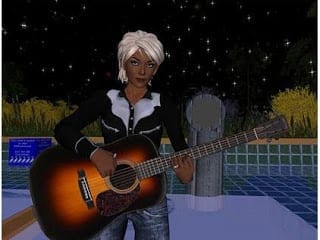 Promoting your Music with the Internet & Social Networking 1 musician