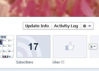 Facebook Timeline Activity button