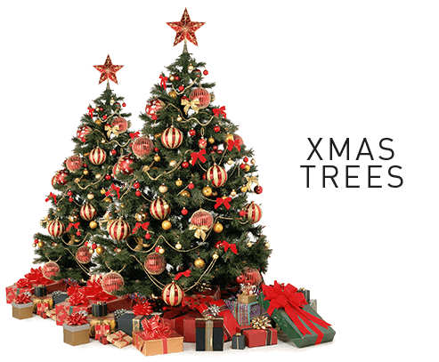 Buy Christmas Trees Decoration and Lights Online Buy Christmas Trees Decoration and Lights Online