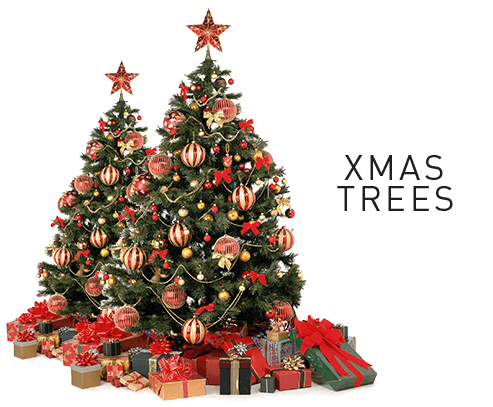 Buy Christmas  Trees Decoration  and Lights Online  