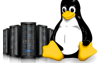 Linux Hosting