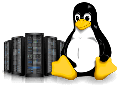 Linux Hosting