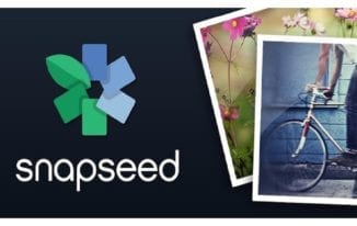 Simple Steps to Installing Snapseed for PC