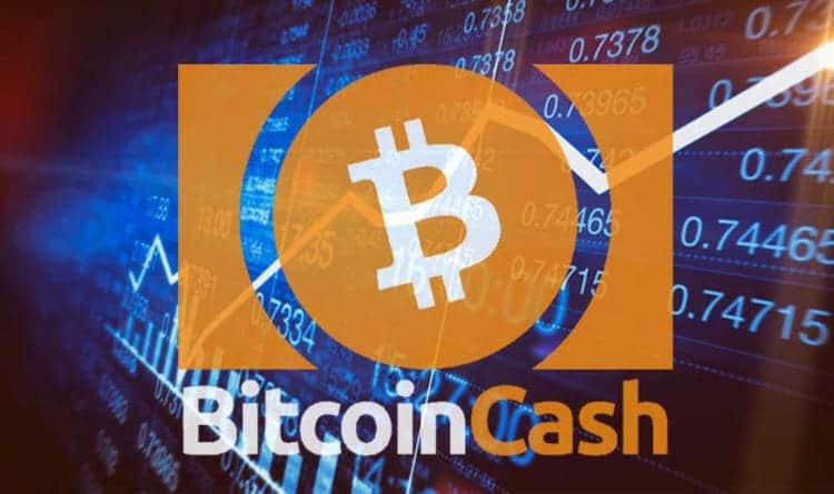 Bitcoin cash co 00571185 bitcoin in usd