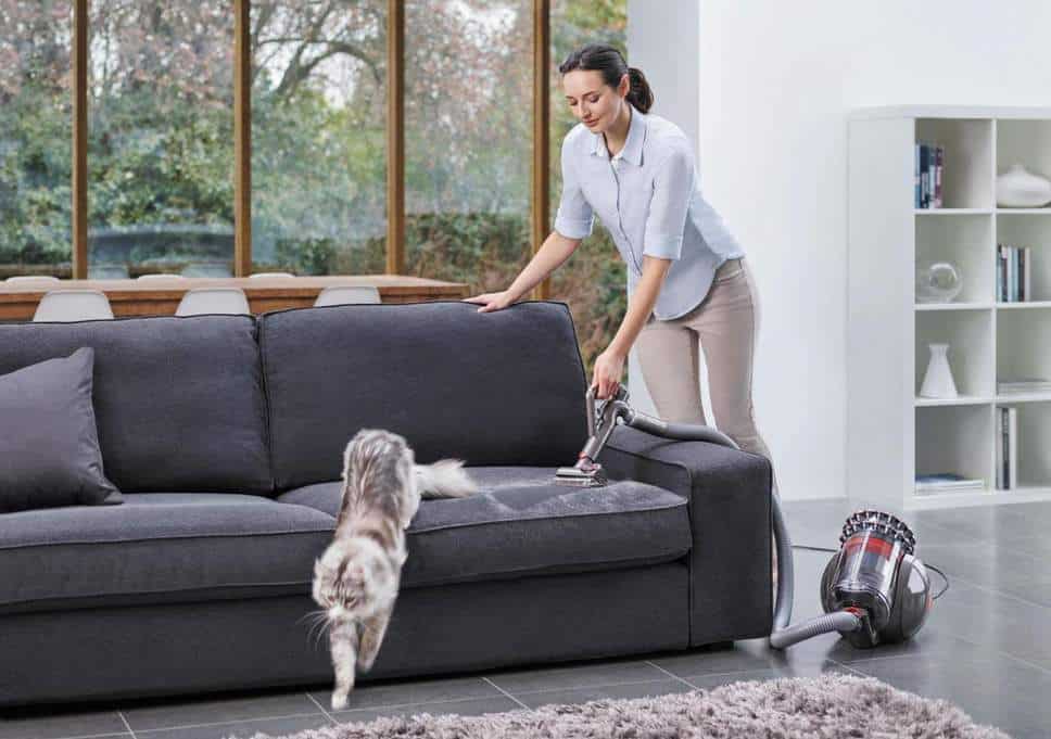 Vacuuming a Sofa