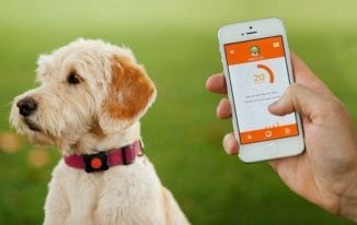 5 Technologies for Helping the Animals