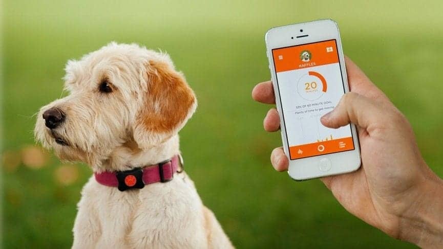 5 Technologies for Helping the Animals