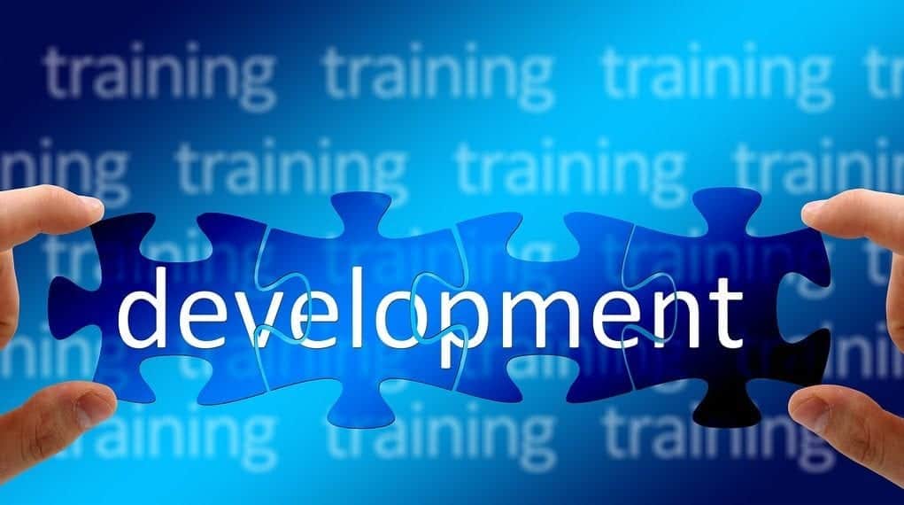 Why Is Enterprise Development So Important for Small Businesses