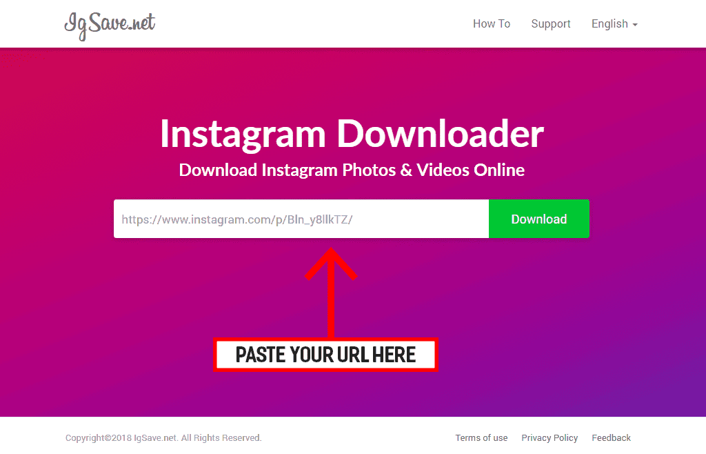 Easy Steps to Download Instagram Videos and Photos by Pasting the Instagram URL in IGSave.Net