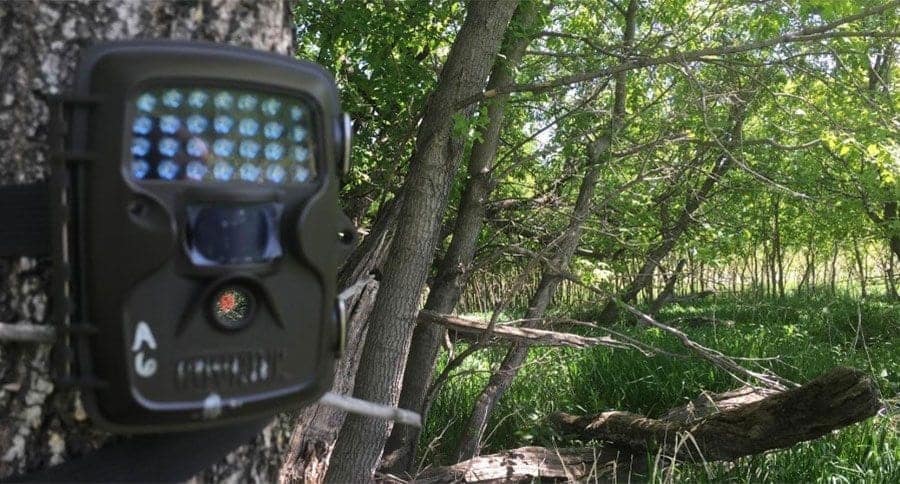 How To Choose The Best Game Camera