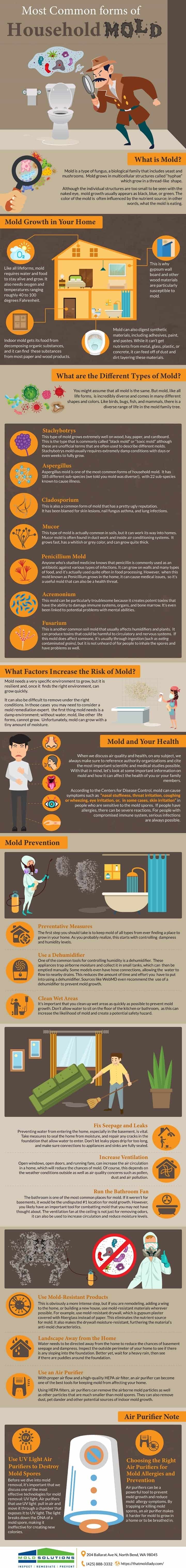 Most Common forms of Household Mold (Infographic)