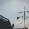 Antenna: Get Better Signal for your TV