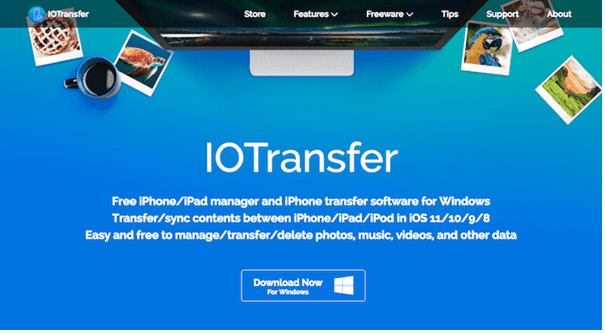 IOTransfer : All about managing photos and files on your iPhone