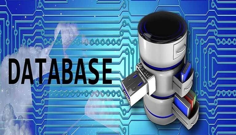 Database