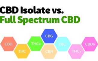 Full Spectrum CBD vs CBD Isolate