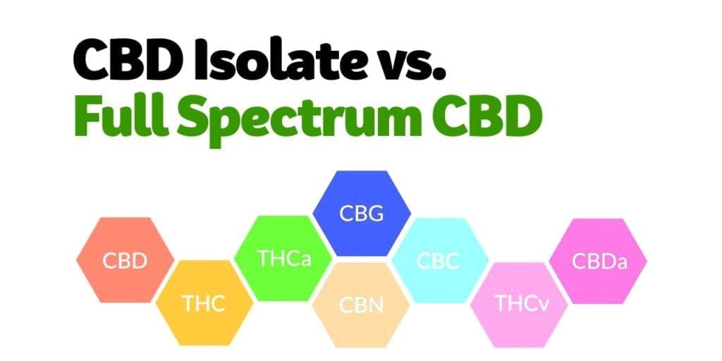 Full Spectrum CBD vs CBD Isolate