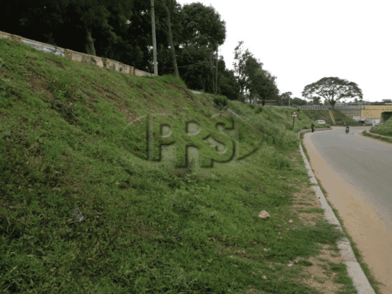 Vegetated Slope