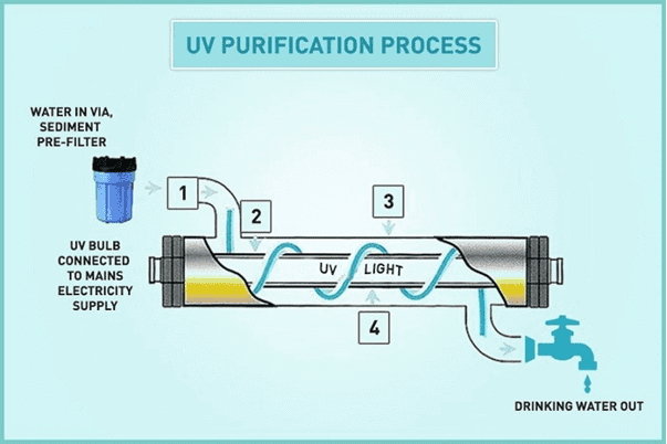 UV Purification