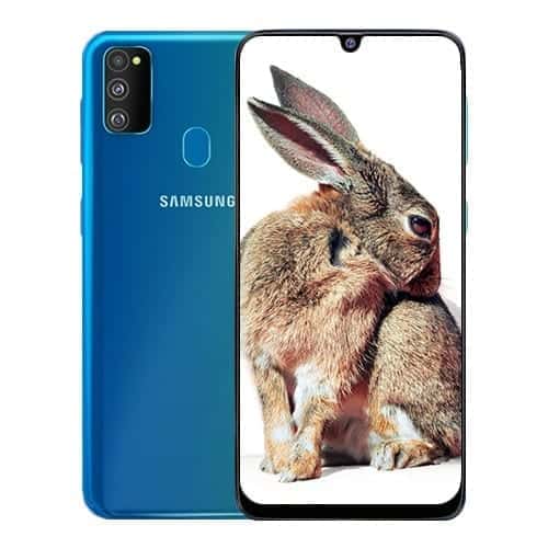 Samsung Galaxy M30s