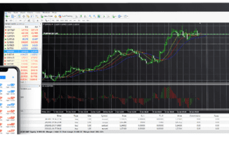 Metatrader4 Account for Forex Trading