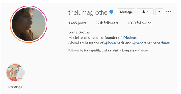 Instagram Profile showing Blue Tick