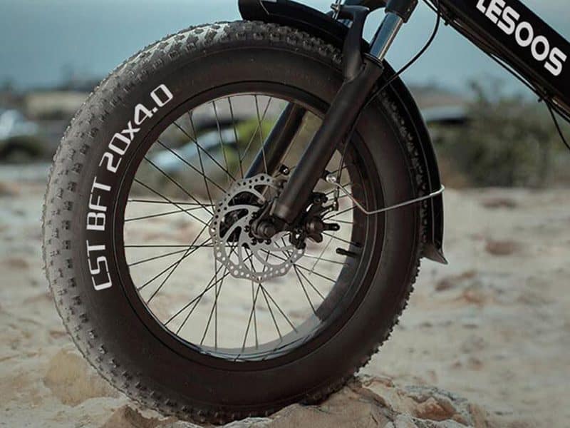 FatSky Electric Bike with Fat Tires from Lesoos