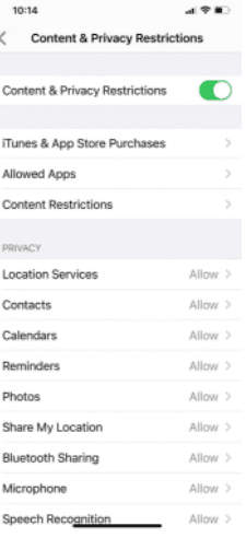 iPhone Content and Privacy Restrictions