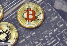 Invest in Bitcoin (Strategies)