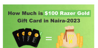 How Much is $100 Razer Gold Gift Card in Naira 2023