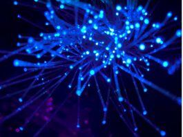 Connectivity Management Platform