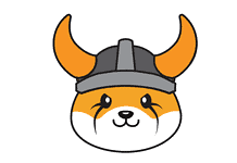 Floki Cryptocurrency