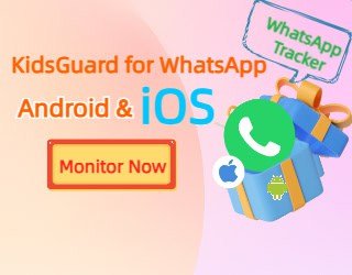 Best WhatsApp Tracker