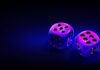 Casino Gamification
