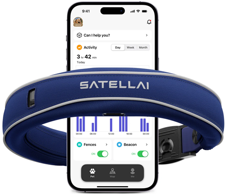 Satellai Pet Collar