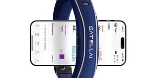 SATELLAI Smart Pet Collar