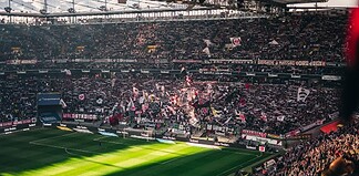 football fans at the stadium